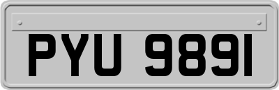 PYU9891