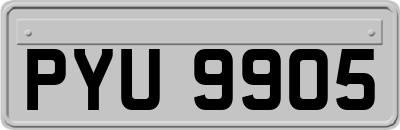 PYU9905