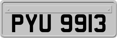 PYU9913