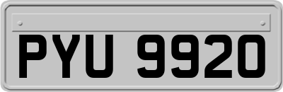 PYU9920