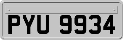 PYU9934