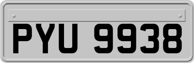 PYU9938