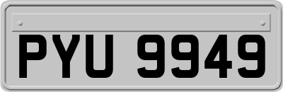 PYU9949