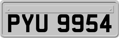 PYU9954