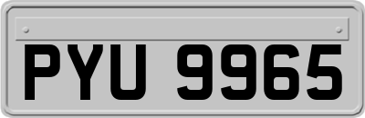 PYU9965