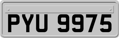 PYU9975