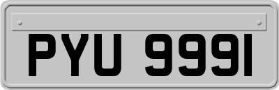 PYU9991