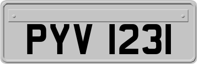 PYV1231