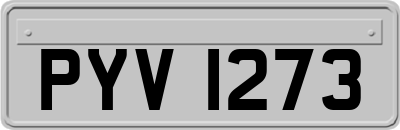 PYV1273