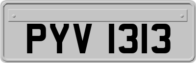 PYV1313