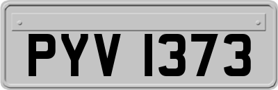 PYV1373