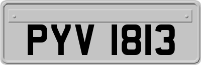 PYV1813