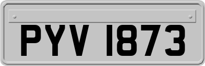 PYV1873