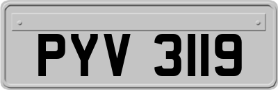 PYV3119