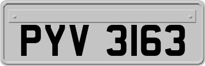 PYV3163