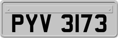 PYV3173