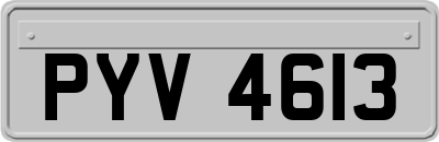 PYV4613