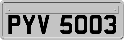 PYV5003