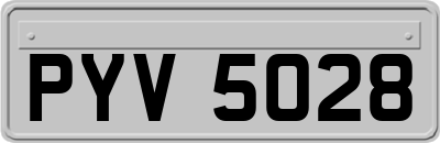 PYV5028