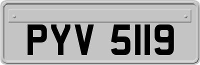 PYV5119