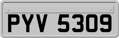 PYV5309