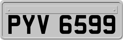 PYV6599