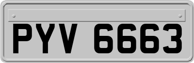 PYV6663