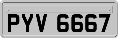 PYV6667