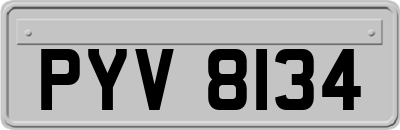 PYV8134