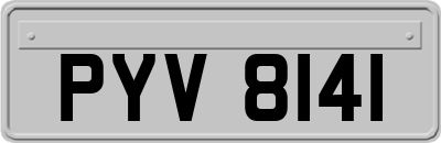 PYV8141