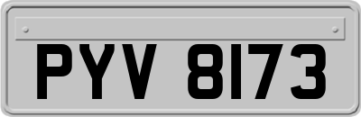 PYV8173