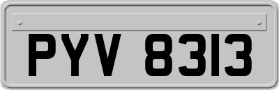 PYV8313