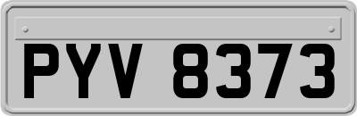 PYV8373