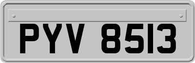 PYV8513