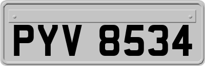 PYV8534