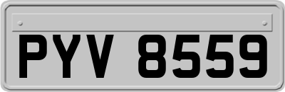 PYV8559