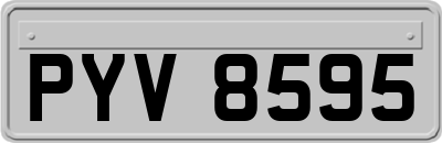 PYV8595