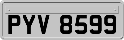 PYV8599