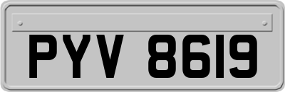 PYV8619