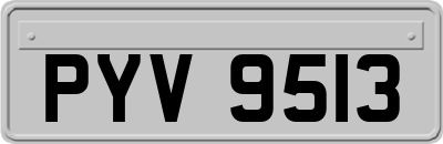 PYV9513