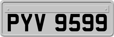 PYV9599