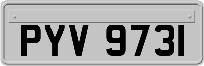 PYV9731