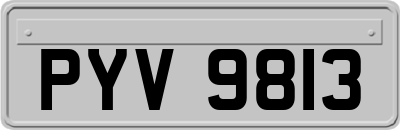 PYV9813