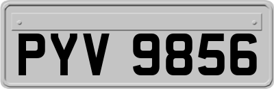 PYV9856