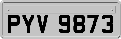 PYV9873