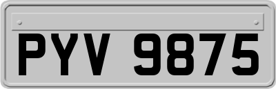 PYV9875