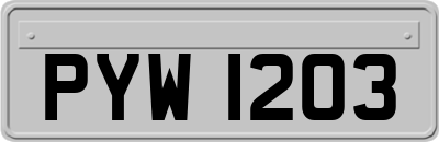 PYW1203