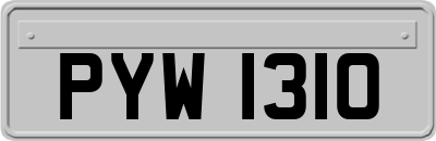 PYW1310