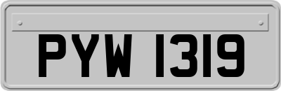 PYW1319