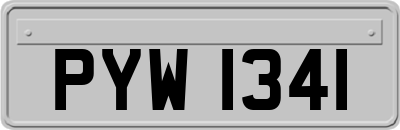 PYW1341